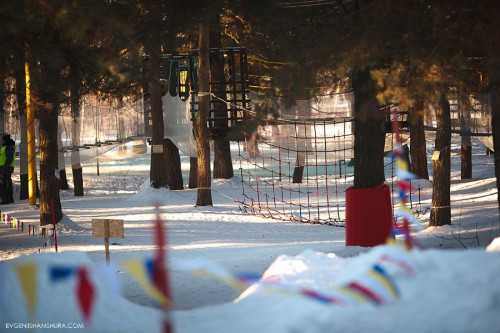 World Snow Day: итоги, активный отдых, празднование, сноуборд, соревнования World Snow Day: итоги, активный отдых, празднование, сноуборд, соревнования